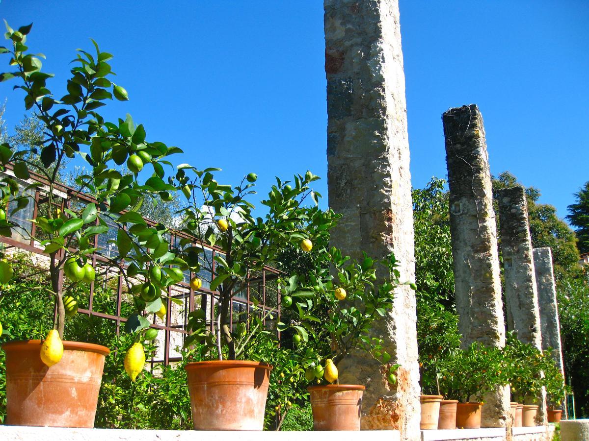 Hotel Belvedere Torri Del Benaco Luaran gambar